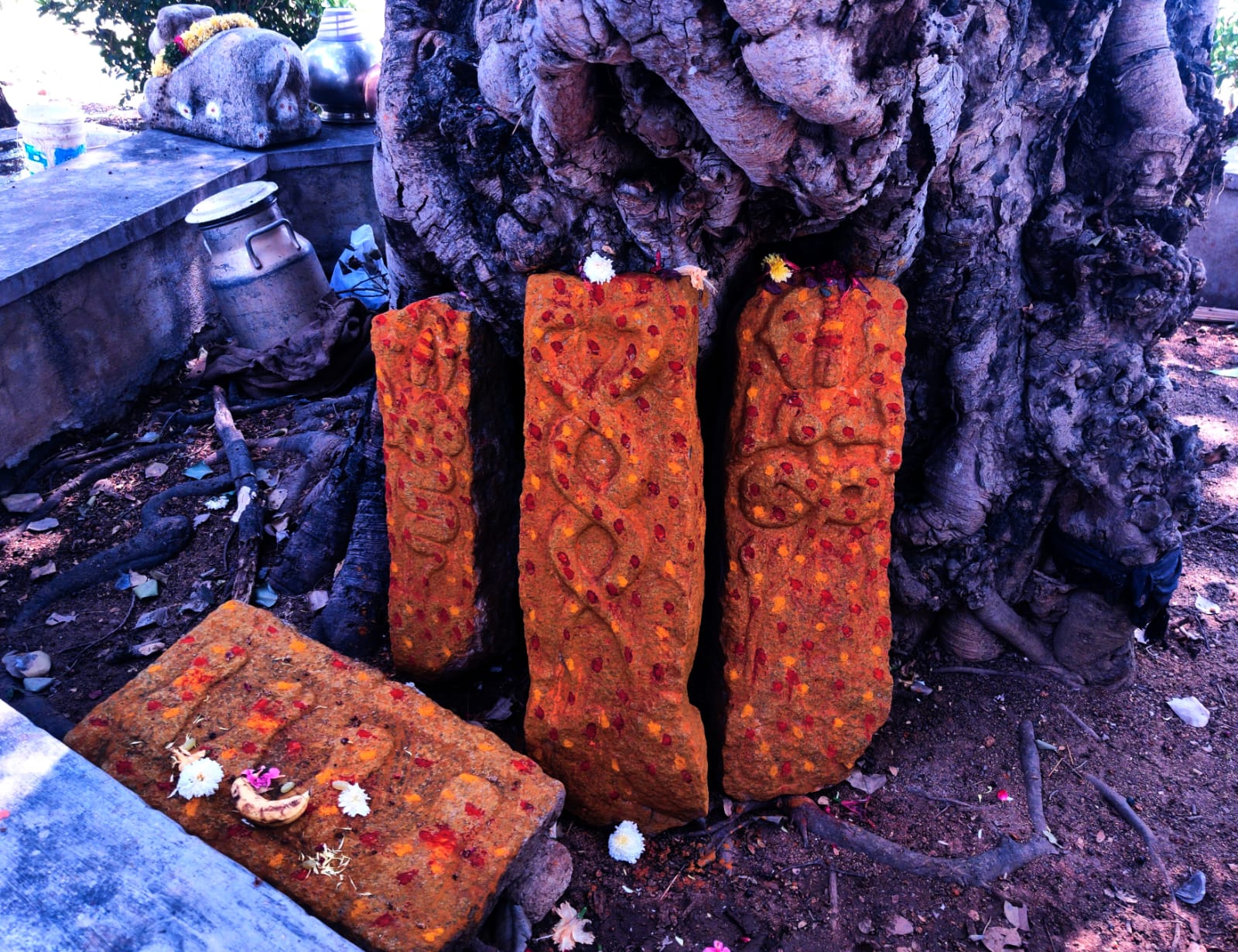 Naga devatha in the premises of Shivalayam in ICRISAT.jpg